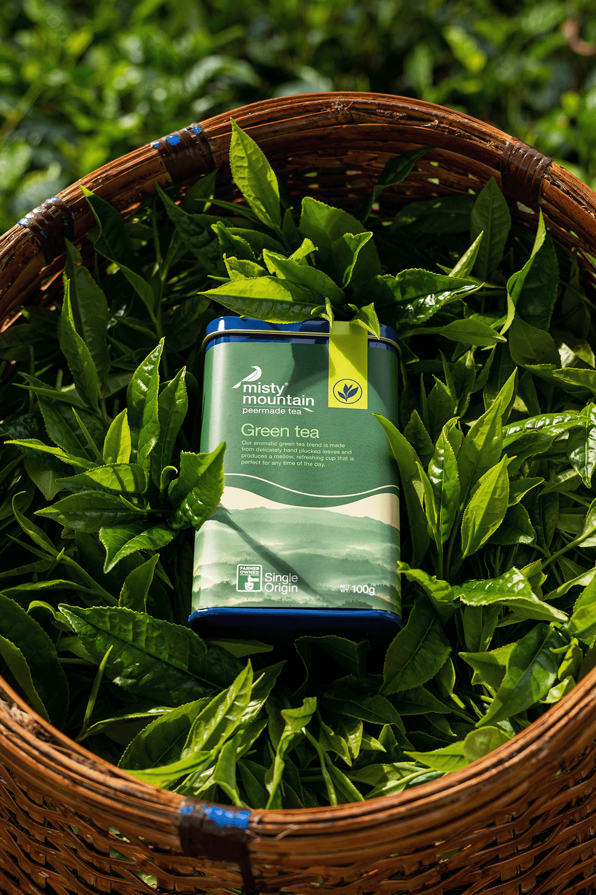 Misty Ridge Tea Misty Mountain Tea , Vanilla Pomegranate Fusion White Tea – MOGO